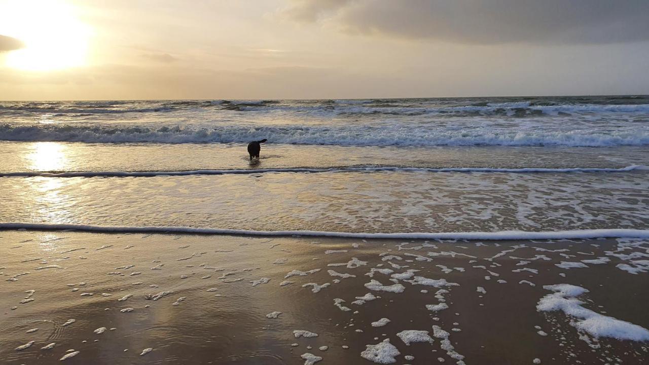 Luxe Vakantiebungalow Met Omheinde Tuin Voor Hond En Kinderen Dirkshorn Ngoại thất bức ảnh