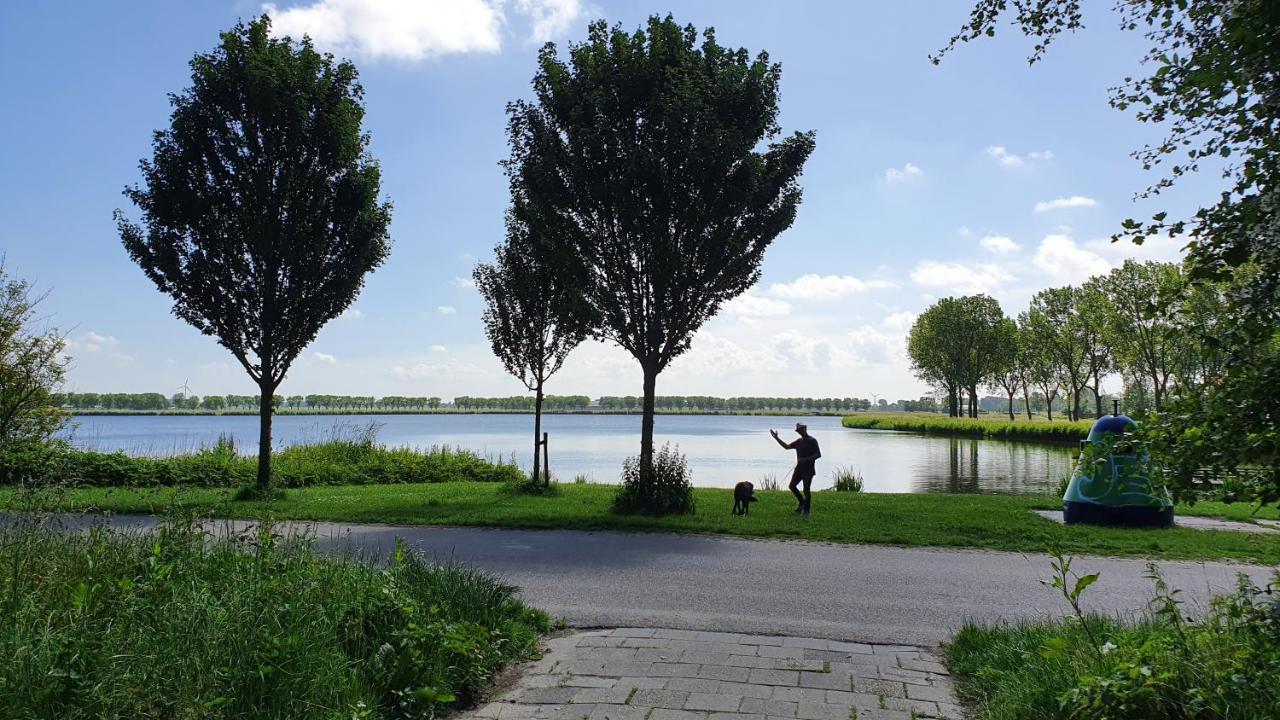 Luxe Vakantiebungalow Met Omheinde Tuin Voor Hond En Kinderen Dirkshorn Ngoại thất bức ảnh