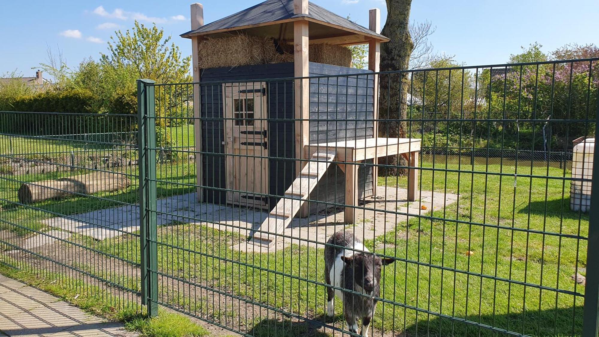 Luxe Vakantiebungalow Met Omheinde Tuin Voor Hond En Kinderen Dirkshorn Ngoại thất bức ảnh